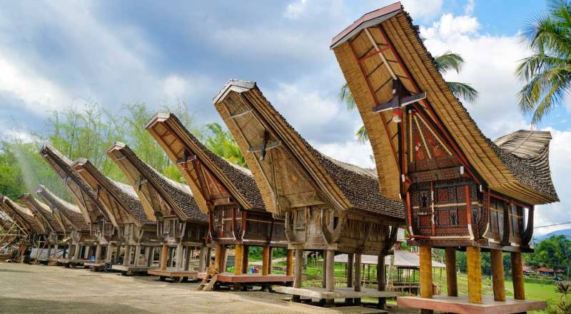 Tempat Teratas di Tana Toraja Wajib Dikunjungi