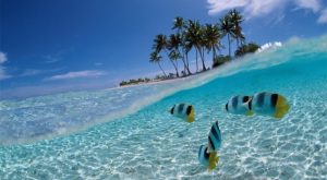 Fakta-Fakta Menarik Wisata Taman Laut Bunaken Manado