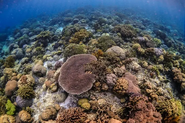 Kepulauan Wakatobi, Sulawesi Tenggara