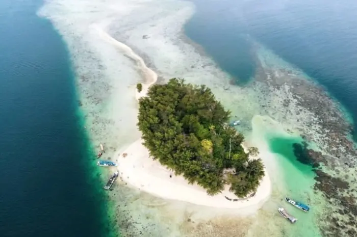 Pulau Dolphin