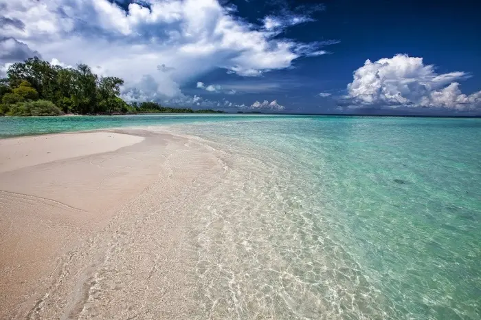Widi Island